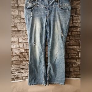 Ariya Distressed Blue Flare Jeans